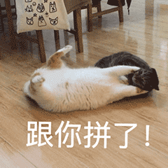 /uploads/allimg/231115/1456112418-8.gif